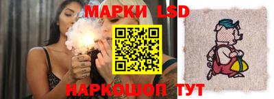 стаф Новодвинск
