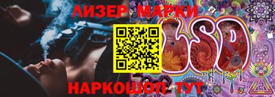 стаф Новодвинск