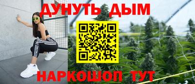 стаф Новодвинск