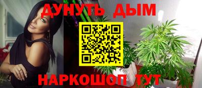 стаф Новодвинск