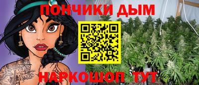 стаф Новодвинск
