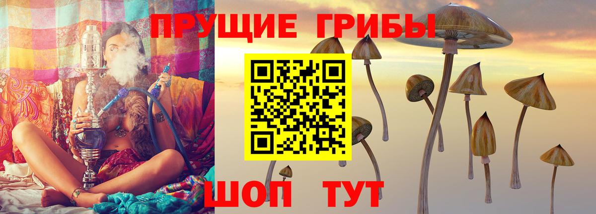 Галлюциногенные грибы ЛСД Тара