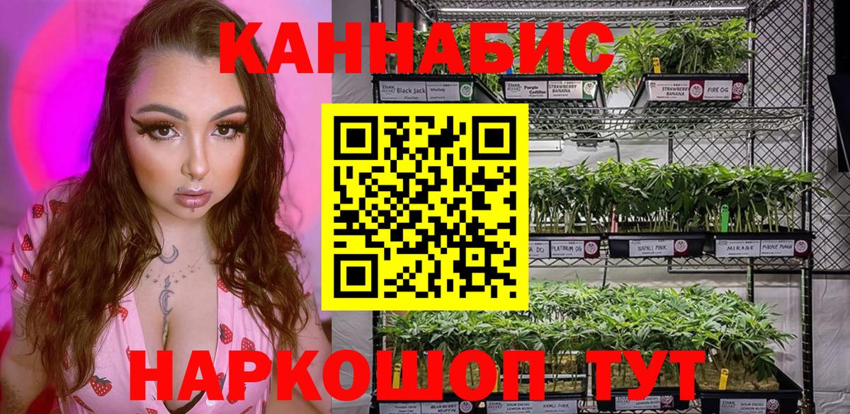 Бошки марихуана LSD WEED Тара